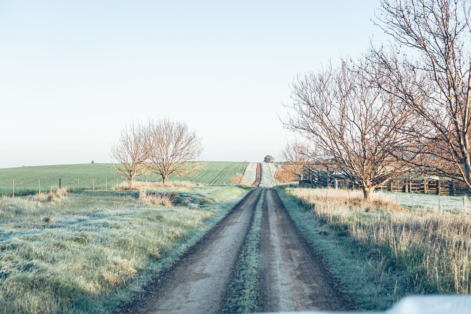 A narrow lane between bare trees, wide enough for one car.